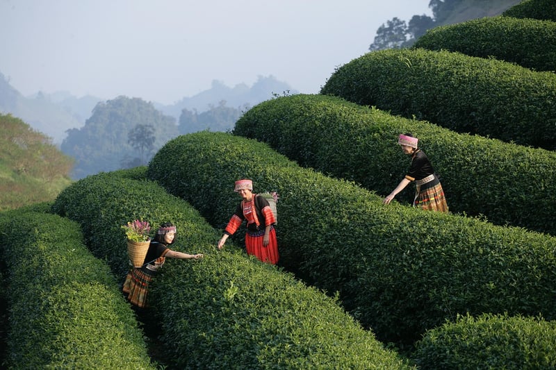 Past & Future Adventures